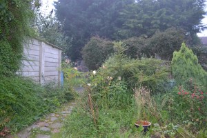 garden1